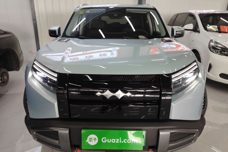 FangChengBao Tiger 3 2025 car image #3