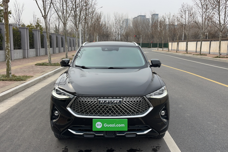 Haval F7x 2020 car image #3