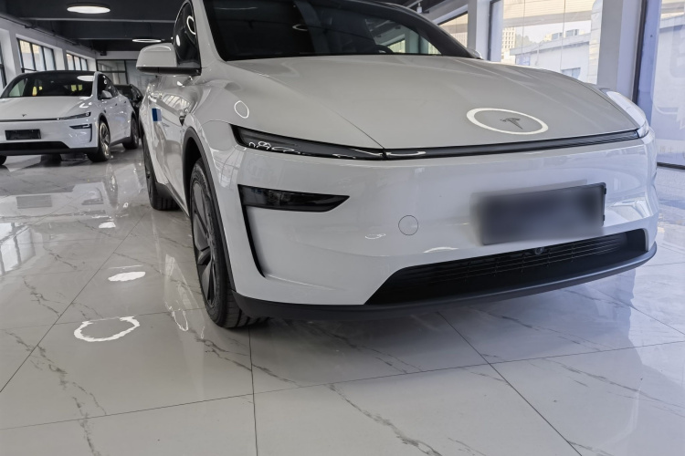 Tesla Model Y car image #3