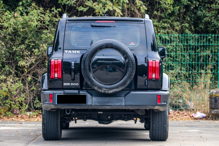 Tank 300 2023 immagine di auto #3