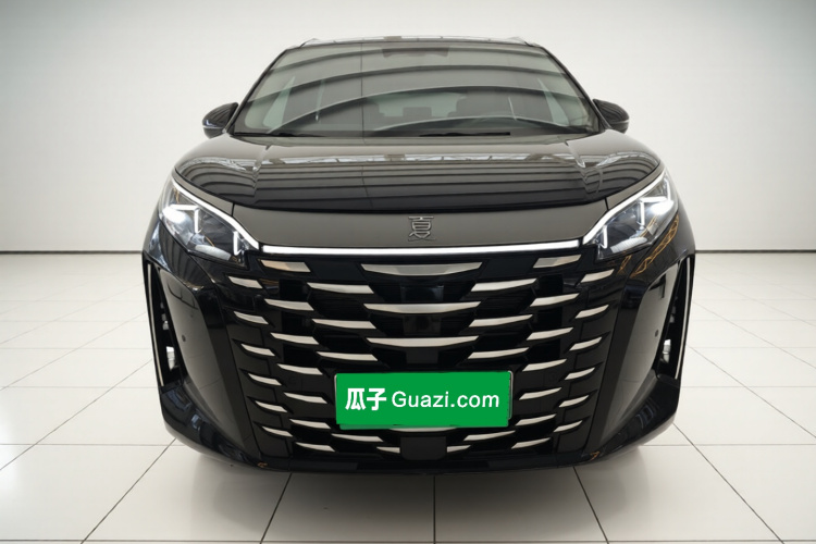 BYD Xia 2025 imagen de coche #3