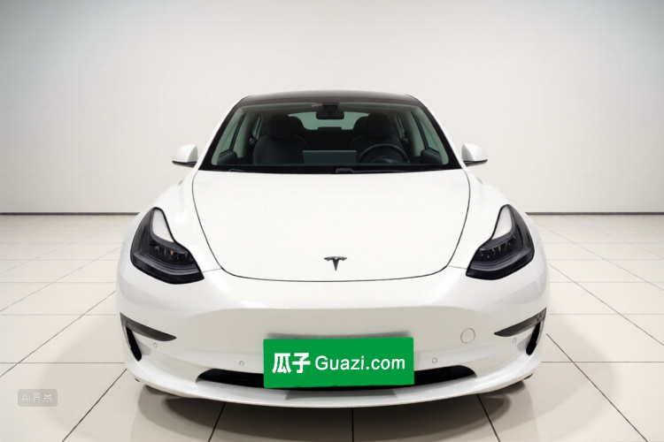 Tesla Model 3 2021 #3 Tesla Model 3 2021 car image #3