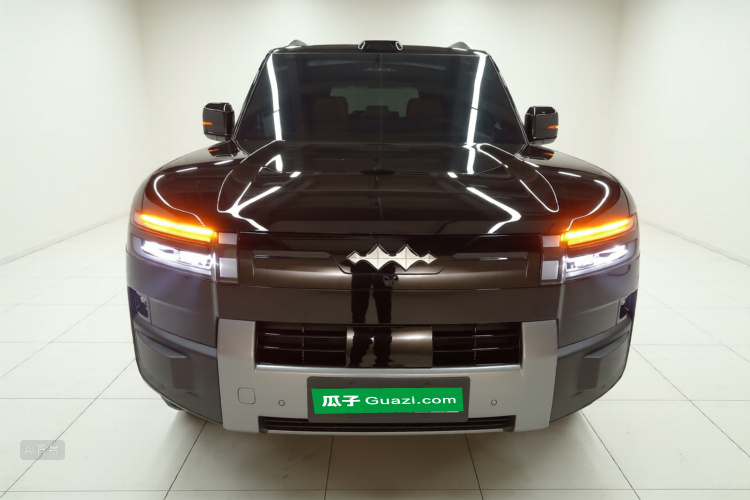 FangChengBao Tiger 7 2025 car image #3