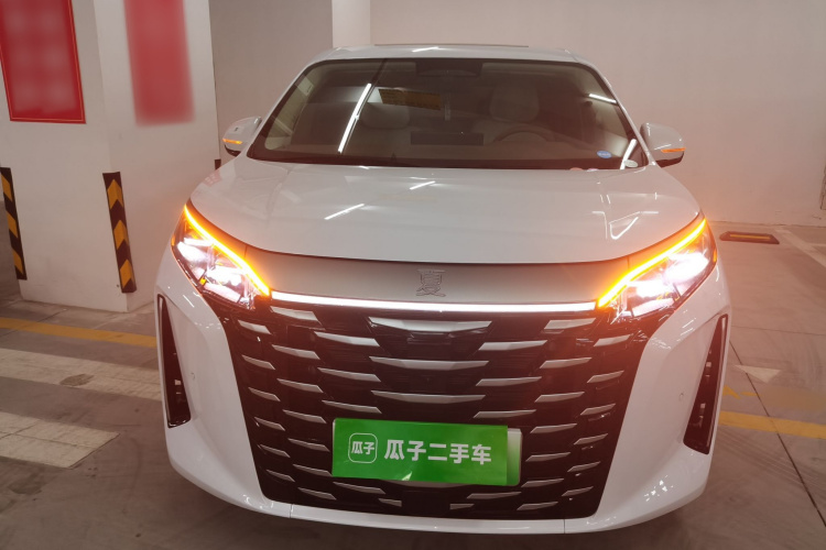 BYD Xia 2024 imagen de coche #3