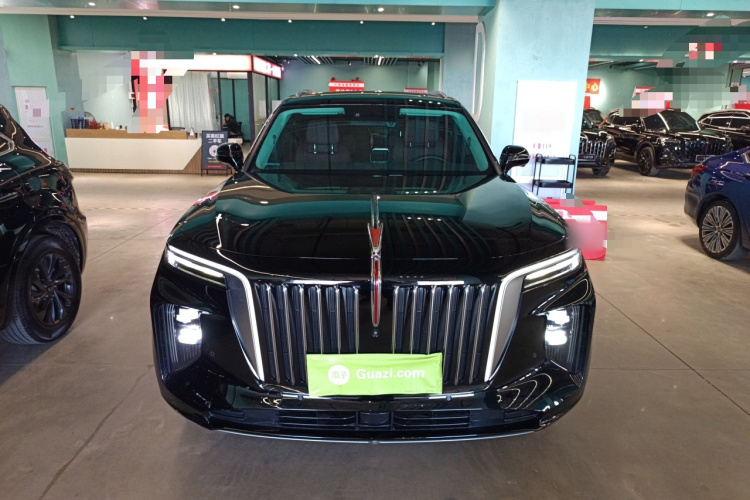 HongQi E-HS9 2021 صورة سيارة #3