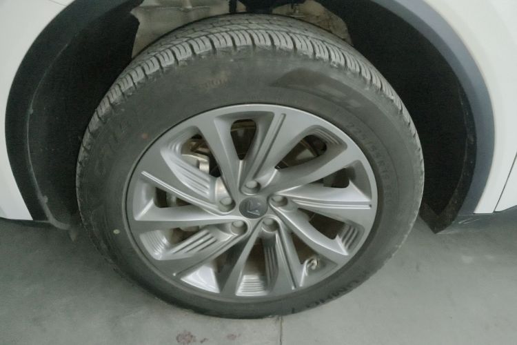 睿蓝汽车 枫叶80v PRO 2023 汽车图片 #3