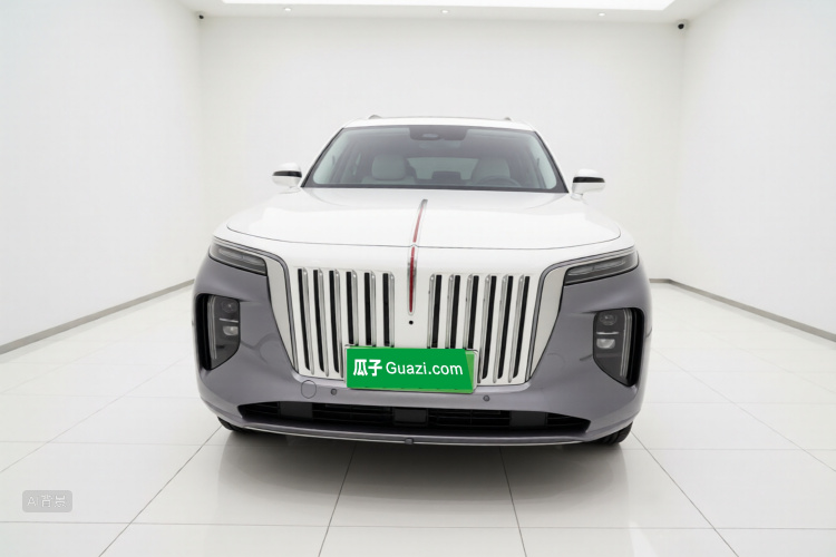 HongQi E-HS9 2022 car image #3