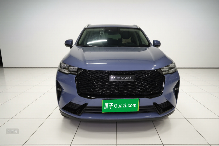 Haval H6 2021 immagine di auto #3