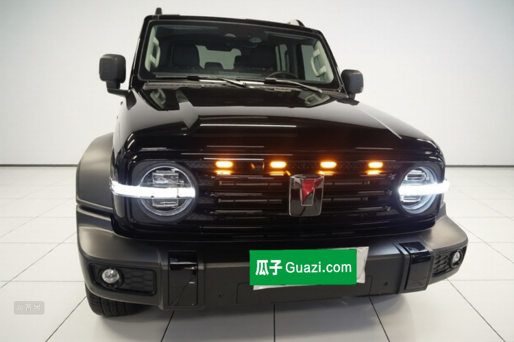 Tank 300 2025 car image #3