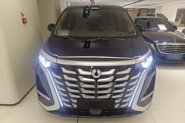 Denza D9 2025 immagine di auto #3