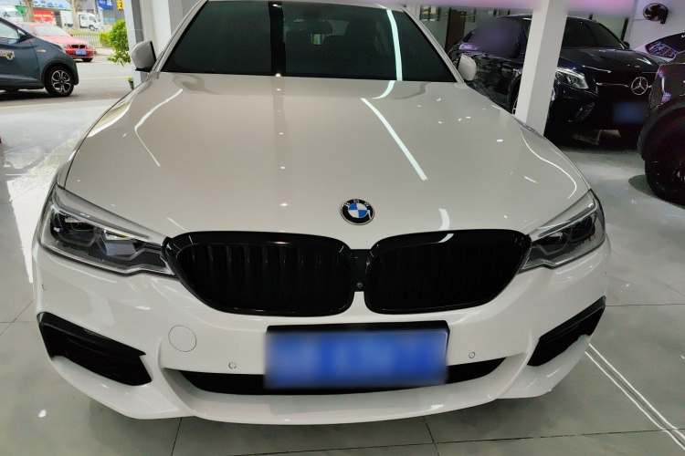 BMW 5 Series 2020 car image #3