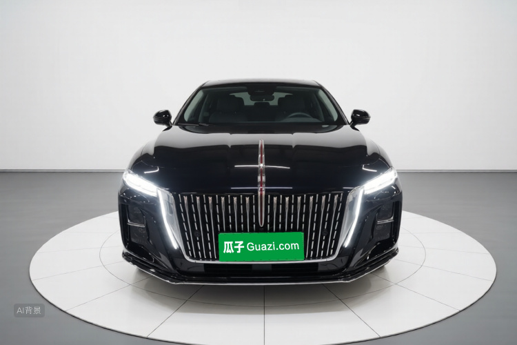 HongQi H5 2024 car image #3