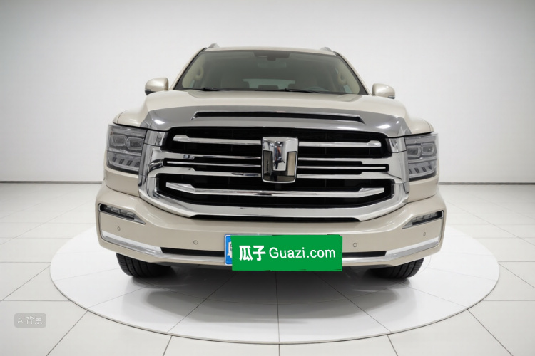 Tank 500 2023 immagine di auto #3