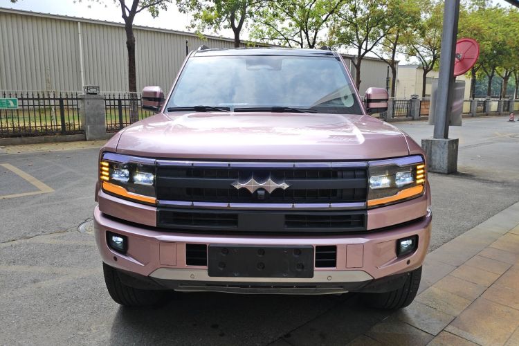 FangChengBao Leopard 5 2025 #3 FangChengBao Leopard 5 2025 immagine di auto #3