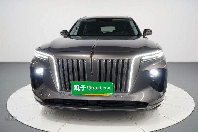 HongQi E-HS9 2023 car image #3