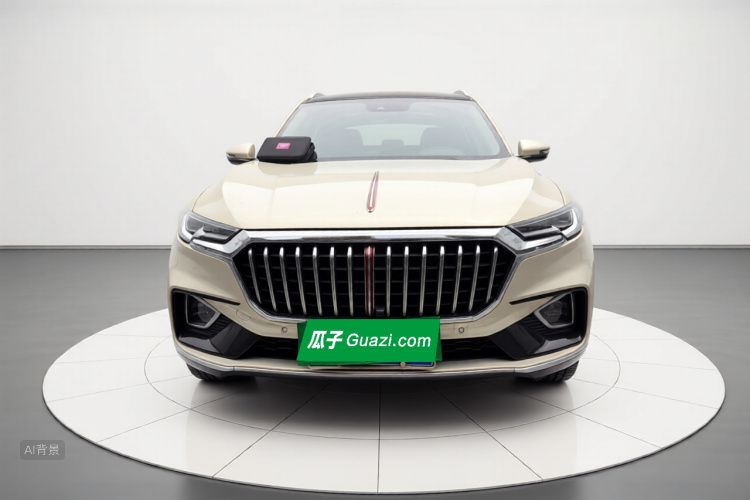 HongQi HS5 2020 immagine di auto #3