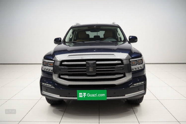 Tank 500 2022 immagine di auto #3