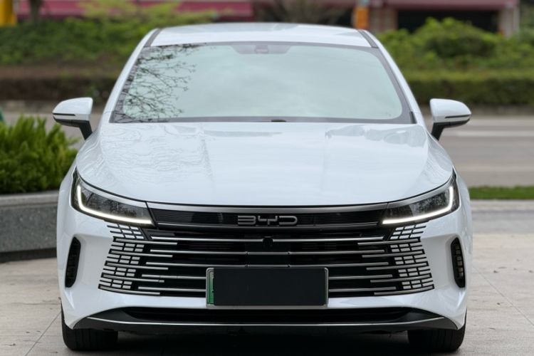 BYD Destroyer 05 2024 imagen de coche #3