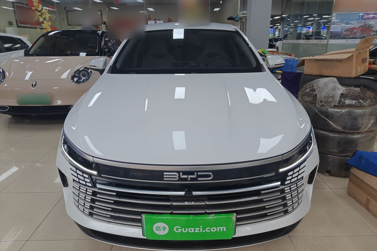 BYD Destroyer 05 2023 imagen de coche #3