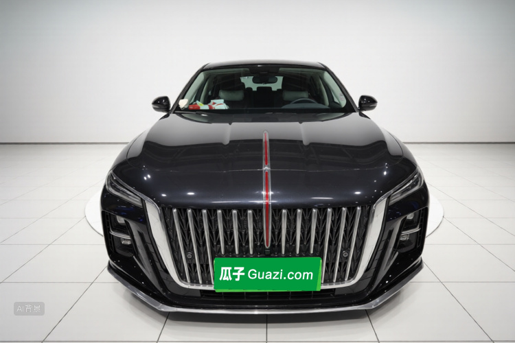 HongQi H5 2023 صورة سيارة #3