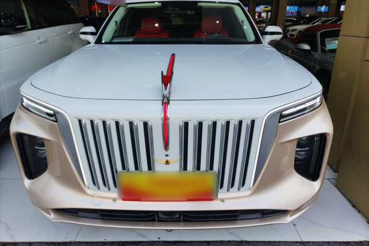 HongQi E-HS9 2021 imagem de carro #3