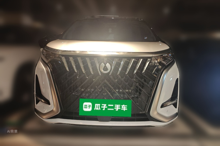 Denza D9 2023 imagen de coche #3