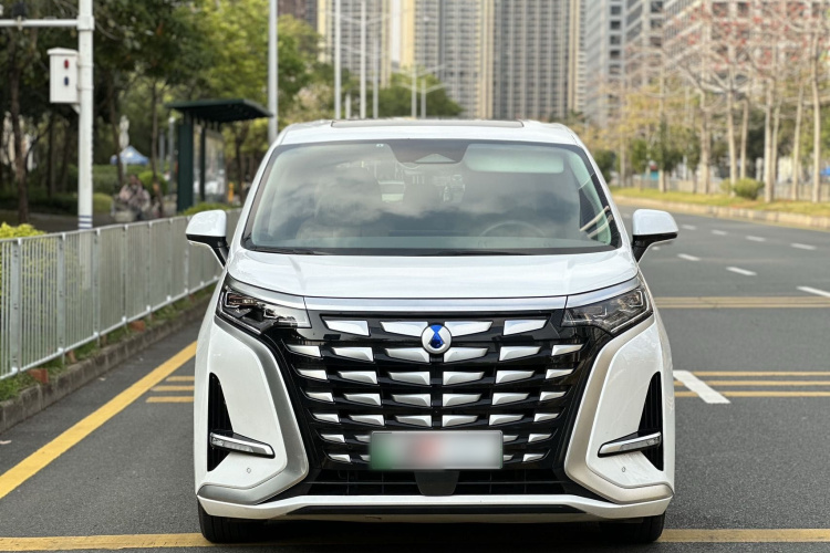 Denza D9 2023 imagem de carro #3