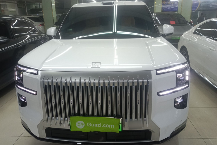 极氪 极氪9X 2025 汽车图片 #3