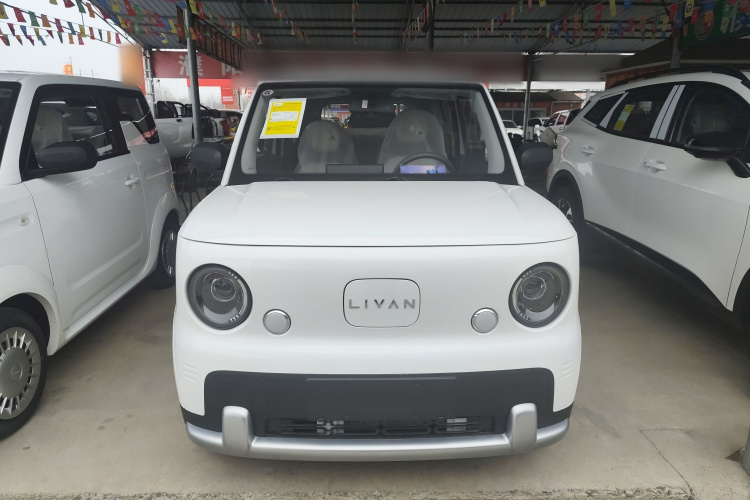 睿蓝汽车 2025 汽车图片 #3