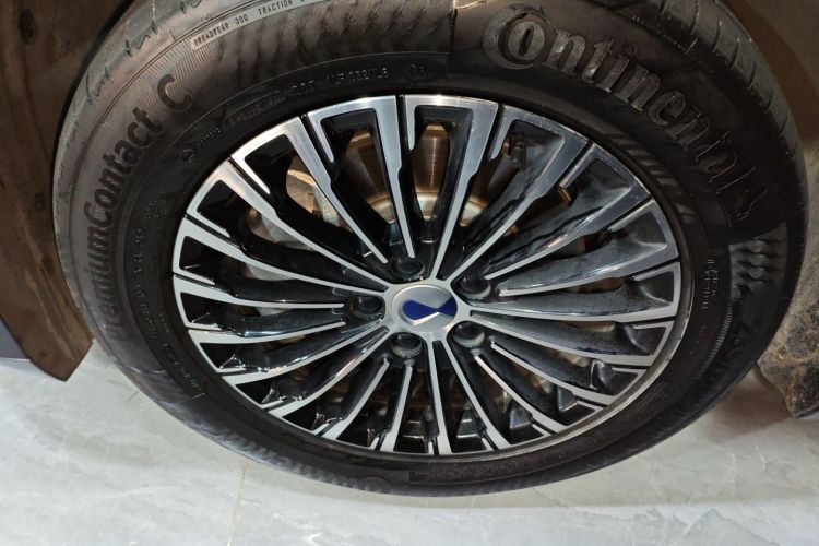 Denza D9 2023 imagen de coche #3