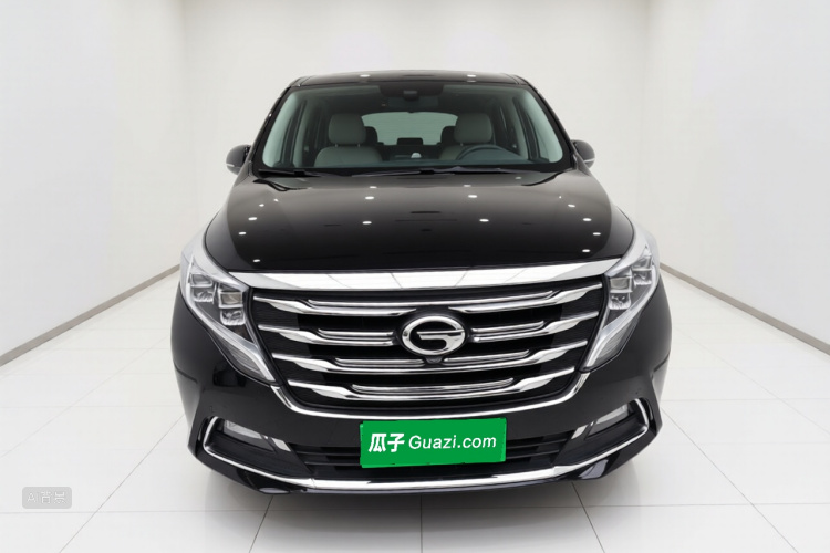 GAC Trumpchi M8 2019 car image #3