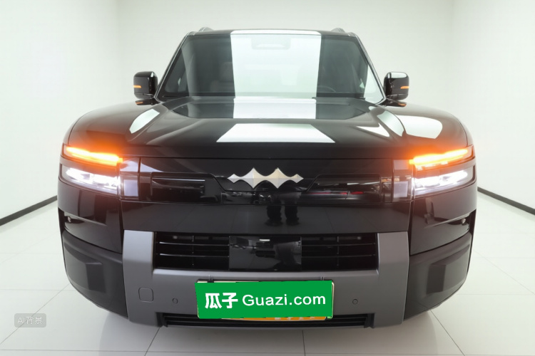 FangChengBao Tiger 7 2025 immagine di auto #3