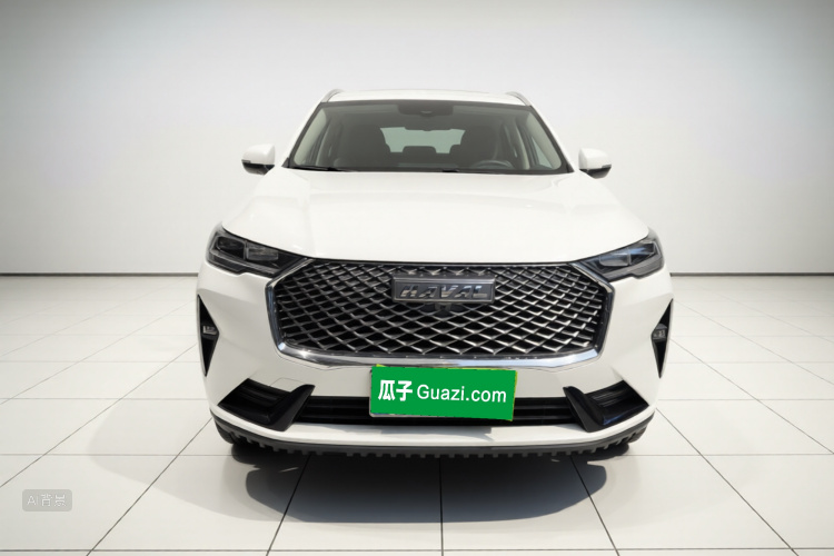 Haval H6 2023 immagine di auto #3