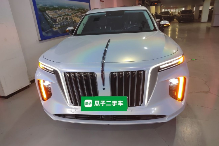 HongQi E-HS9 2023 immagine di auto #3