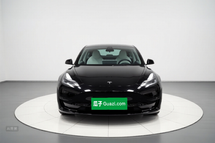 Tesla Model 3 2022 immagine di auto #3