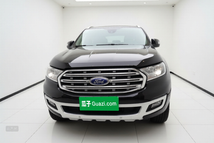 Ford Everest 2019 car image #3
