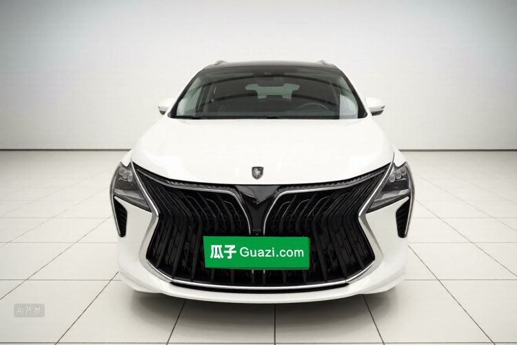 东风风行 风行游艇 2022 汽车图片 #3