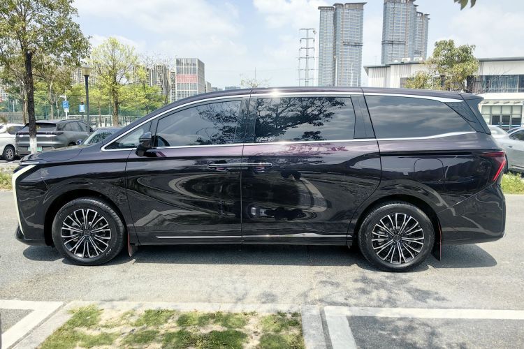 Forthing V9 2024 immagine di auto #3