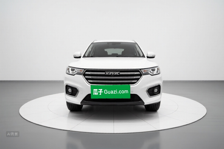 哈弗 哈弗H7 2020 汽车图片 #3