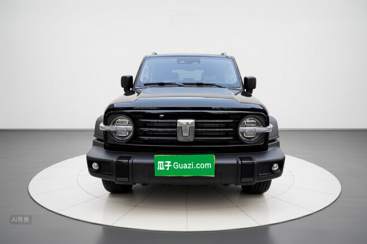 Tank 300 2026 immagine di auto #3