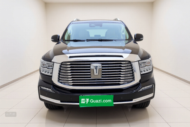 Tank 500 2023 immagine di auto #3