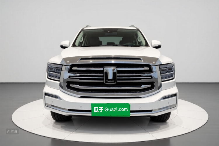 坦克 坦克500 2022 汽车图片 #3