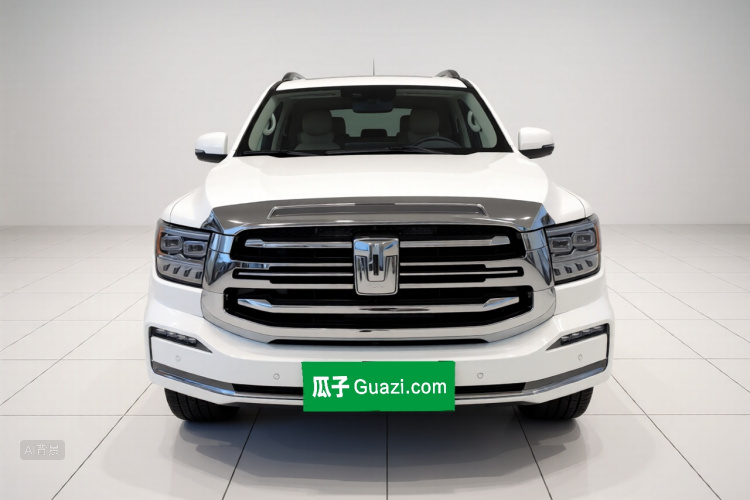 坦克 坦克500 2022 汽车图片 #3