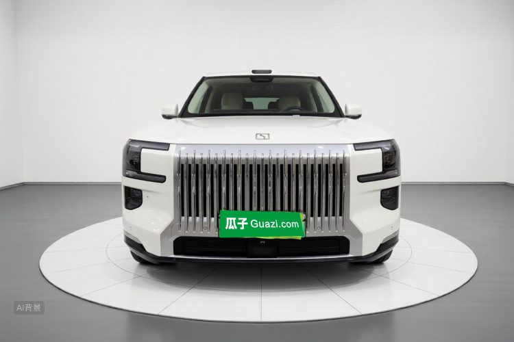 极氪 极氪9X 2025 汽车图片 #3