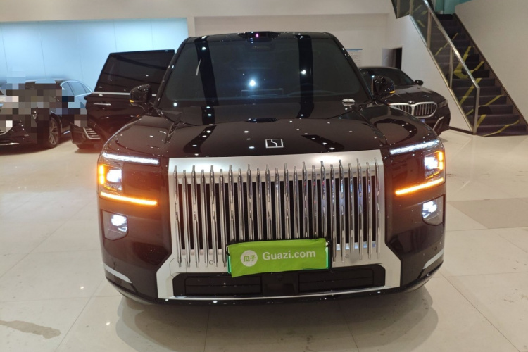 极氪 极氪9X 2025 汽车图片 #3