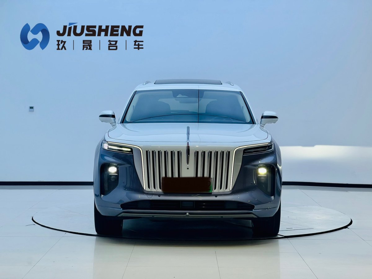 HongQi E-HS9 2022 car image #3