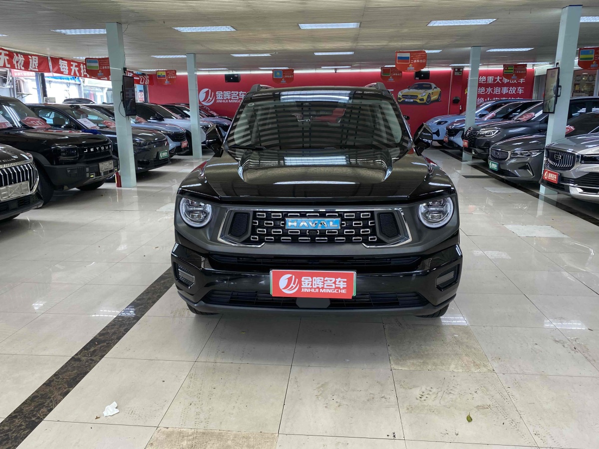 Haval X Dog 2 New Energy 2024 car image #3