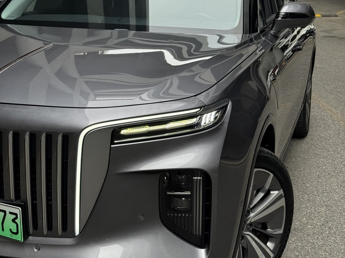 HongQi E-HS9 2021 #3 HongQi E-HS9 2021 immagine di auto #3