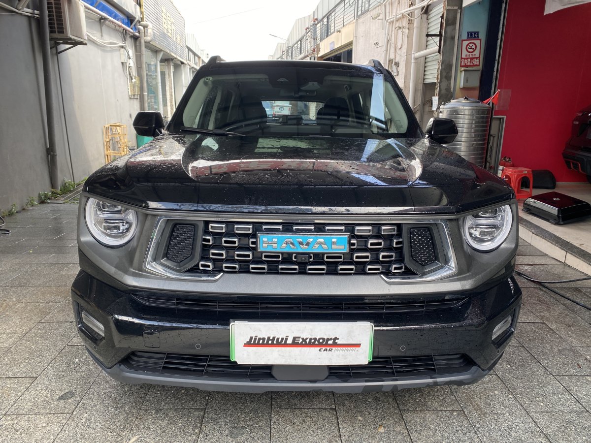 Haval X Dog 2 New Energy 2024 car image #3