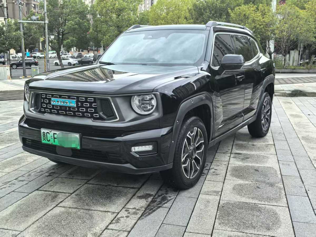 Haval X Dog 2 New Energy 2024 car image #3